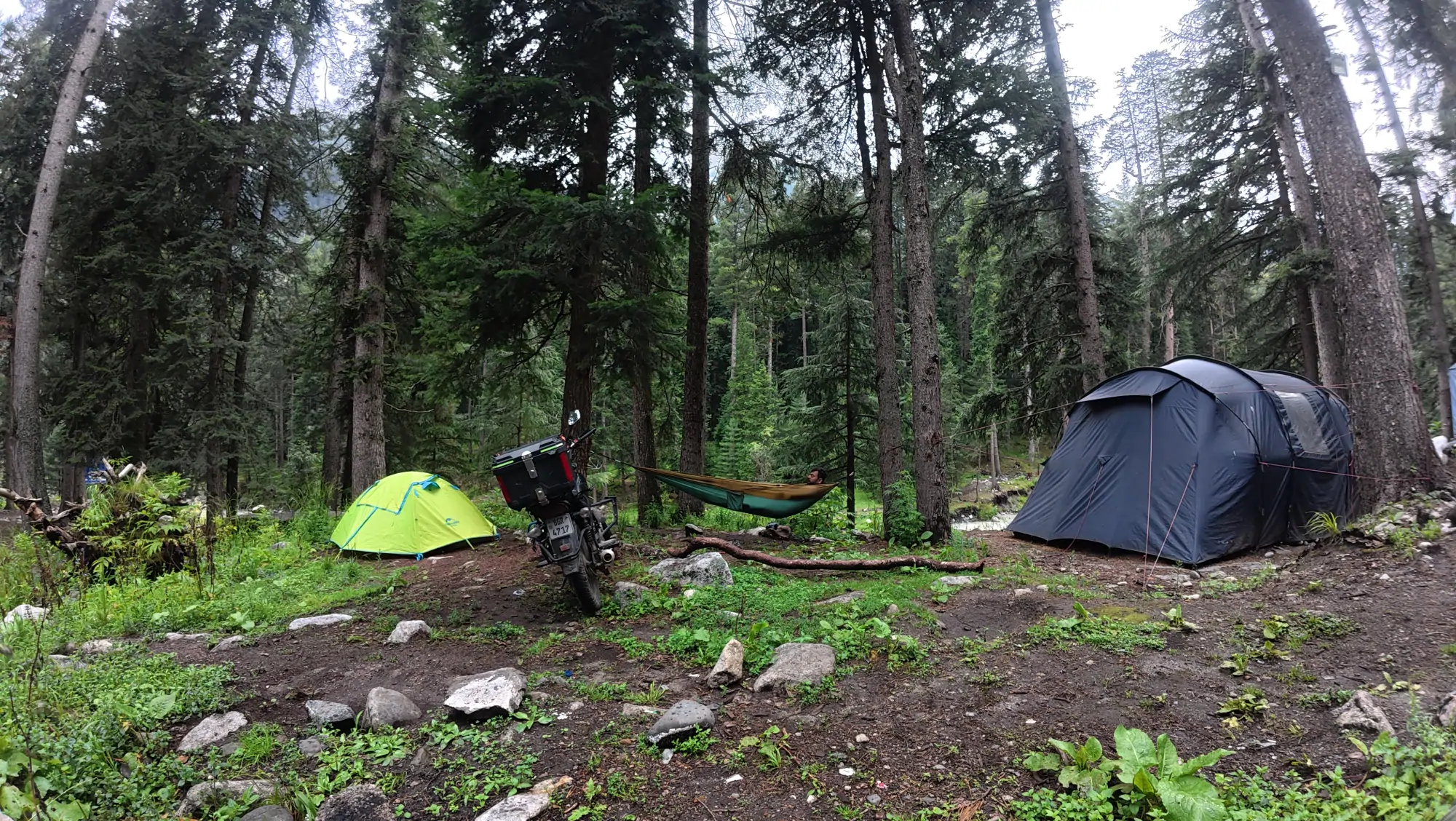 Forest campsite in Kumrat Valley