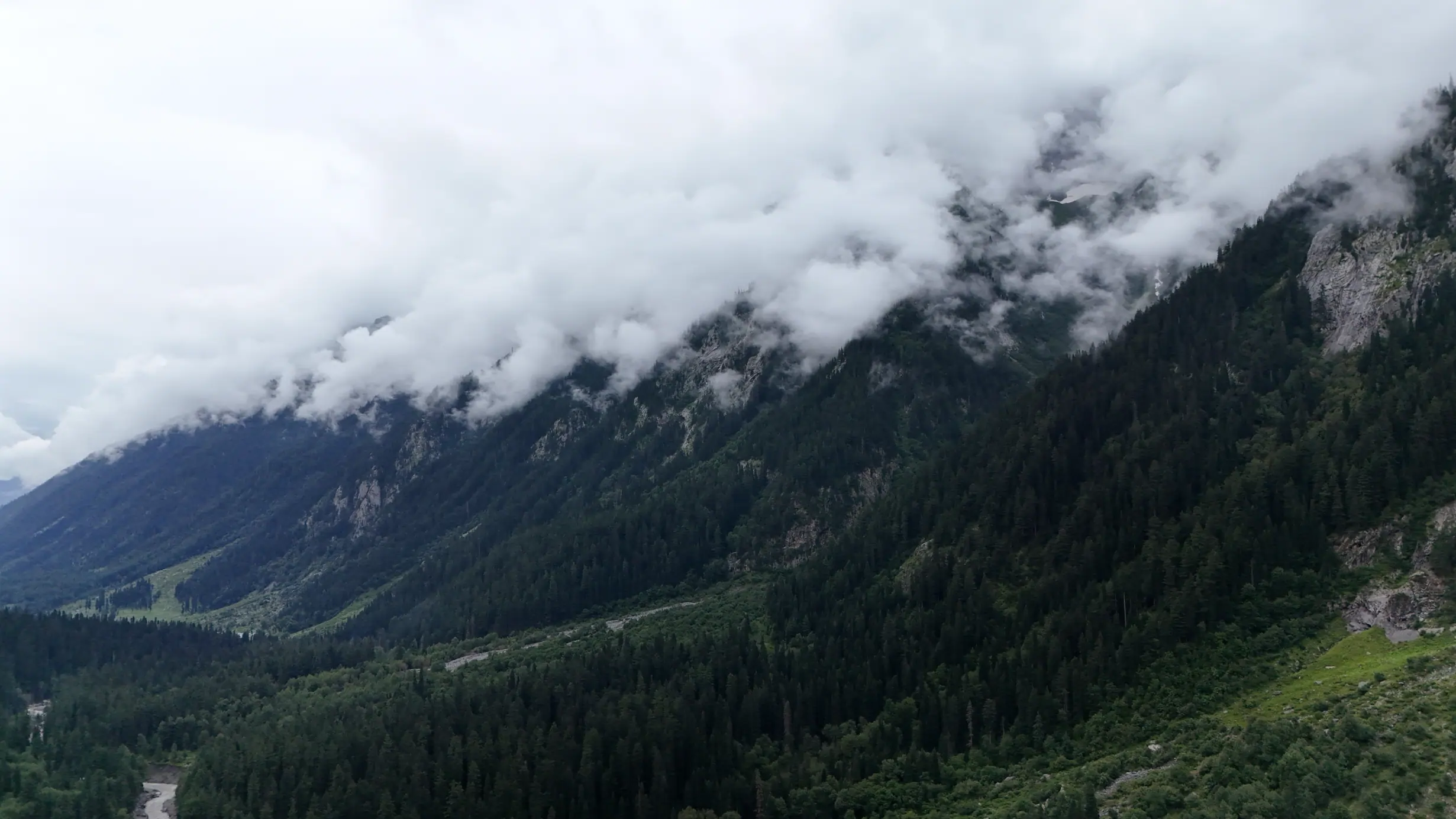 Forest and mountain scenery in Kumrat Valley